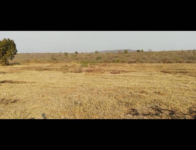 FARM FOR SALE IN MANAMANE